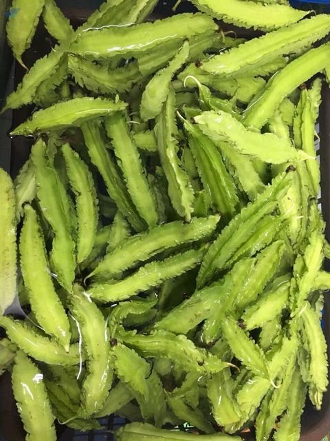 Winged Bean (Tua Plu) - Image 1