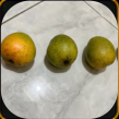 Gedong Mango - Image 3