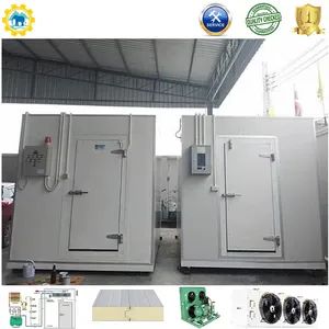 Customizable Freezer Cold Room with 75mm Panel Thickness and Storage - Image 2