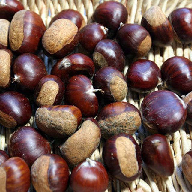 High Nutrition Chestnuts Featuring 98% Whole Kernels Ideal For Food Ingredient Distribution And Bulk Export Demand - Image 3
