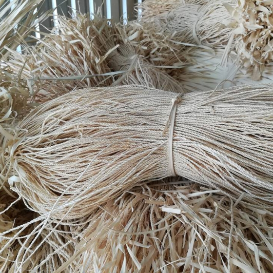 Corypha Palm Leaves - Dried Material from Vietnam for Traditional Handicrafts - Image 3