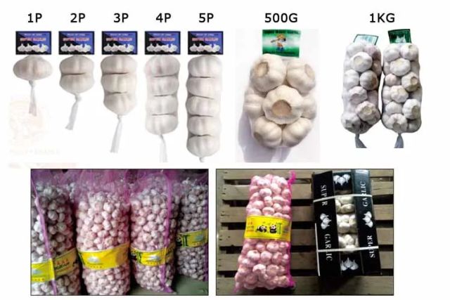 High Quality 2026 Fresh Garlic Chinese Origin Normal White Garlic Bulk Export to Worldwide - Image 4