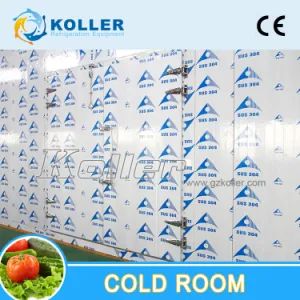 Walk in Chiller Cold Room for Long Time Storage - Image 1