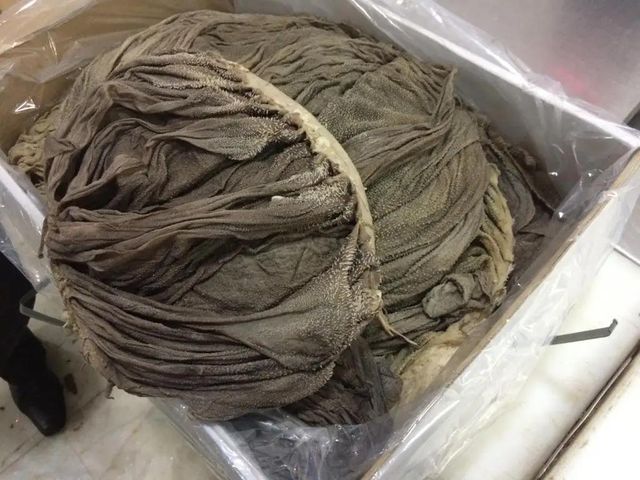 Quality Salted Dried Beef Omasum  - Image 4