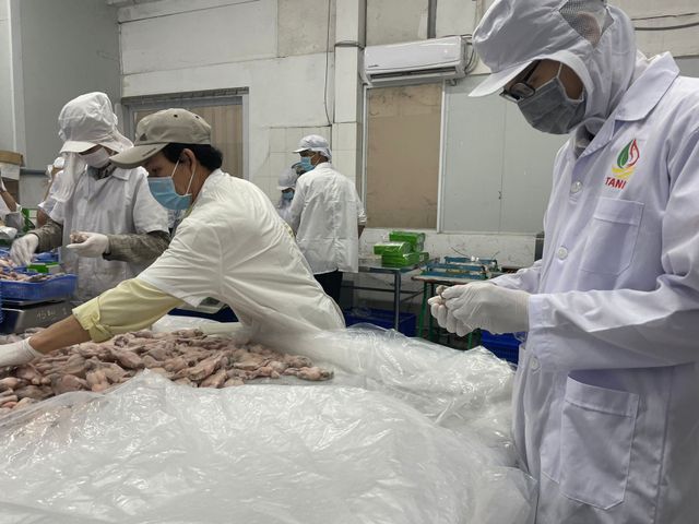 High class quality Frozen Skinless Frog Legs from Vietnam bulk packing / vacuum bag Gap KOSHER certificate - Image 5