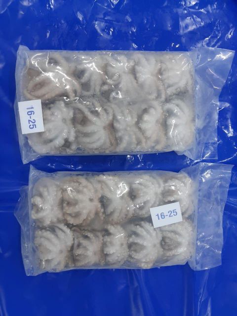 Baby Octopus Whole Cleaned 30% Glaze Tray Pack Flower Setting 16/25-1500 cs 26/40-500 cs 12x2lb - Image 4