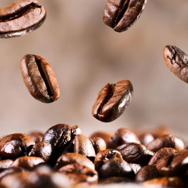 Premium Robusta Coffee Bean Export Quality Robusta Coffee Bean Bulk Supply For Roasters Traders And Wholesale Buyers - Image 5