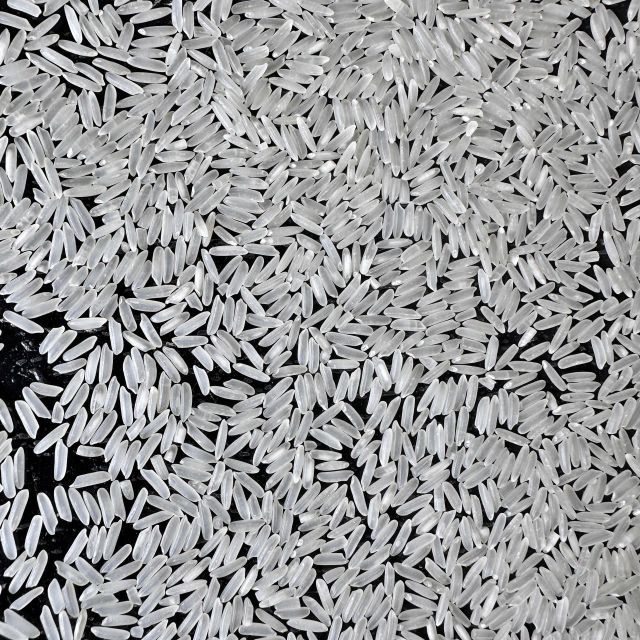 Premium Vietnamese Jasmine Rice Color White Max. Moisture (%) 14 Purity 5%% Broken Max Manufacturer VILACONIC Place of Origin Vietnam - Image 2