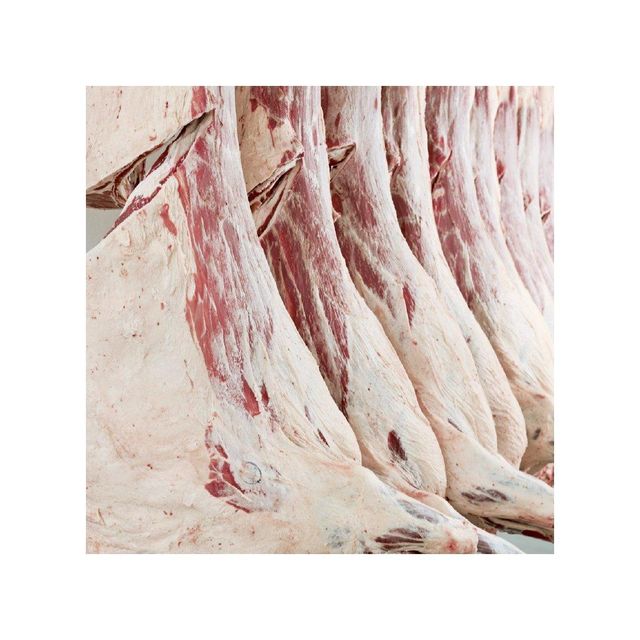 Beef Wholesale Frozen Beef Meat Carcass 4 Way Cuts HALAL FROZEN - Image 3