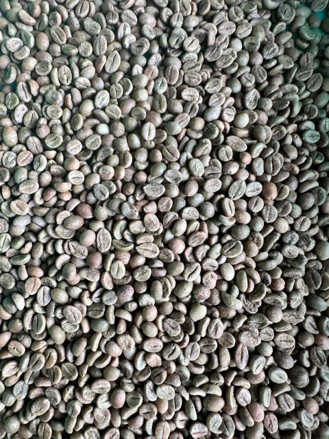Green Coffee Beans – product photo 5, product detail gallery