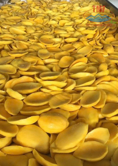 No Sugar Added Sweet Natural Soft Dried Mango Slices AD Processed Tropical Fruit Snack Bulk Wholesale Vietnam 1-Year She - Image 3