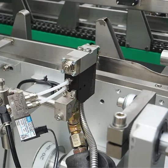 Automatic Egg Roll Cartoning Machine with Sorting Counting Device - Image 4