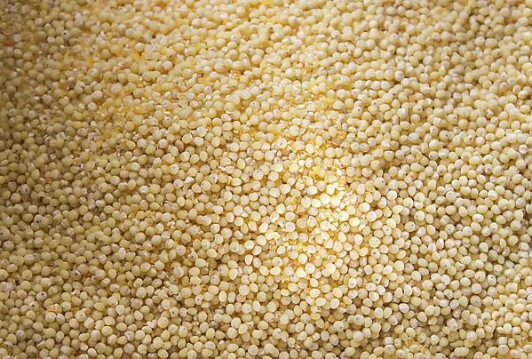 Millet - Flour, Grain - Nutrition Facts, Calories, Millet Grains Stock Ingredient Spotlight: Millet - Image 2