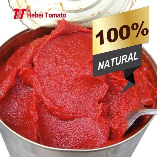 Tomato Paste for Africa Market in 70g 210g 400g 800g 2200g High Quality Fresh Red - Image 1