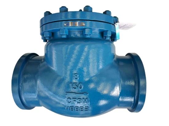 High-Quality Swimming Pool Check Valve for Optimal Flow Control - Image 1