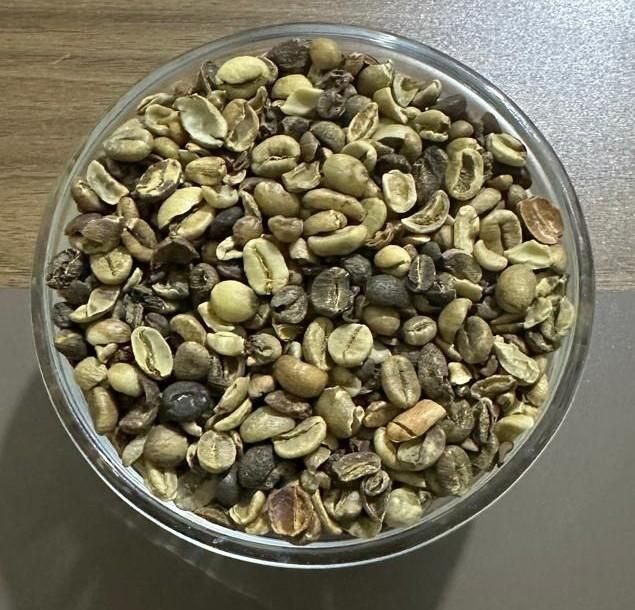 Robusta Coffee Beans – product photo 5, product detail gallery
