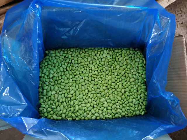 IQF edameme frozen soybean soy beans Pod Length 5-8cm Delivery Form Bag Kernels Per Pod 2-3 Shelf Life 24 Months Features No Added Sugar - Image 4