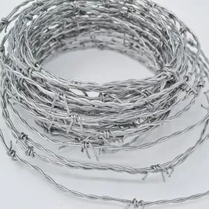 Hsj High Quality Roll Barbed Wire Razor Barbed Galvanized Wire for Farm Fence - Image 5