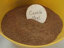 Rapeseed Meal and Canola Meal Oil Content 1.5% Shelf Life 2 years Moisture Content 10% Fat Content 1.5% Max Crude fiber - Image 3