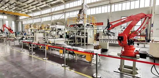 Flexible Packaging and Palletizing Machinery Complete Bagging and Palletizing Lines - Image 4