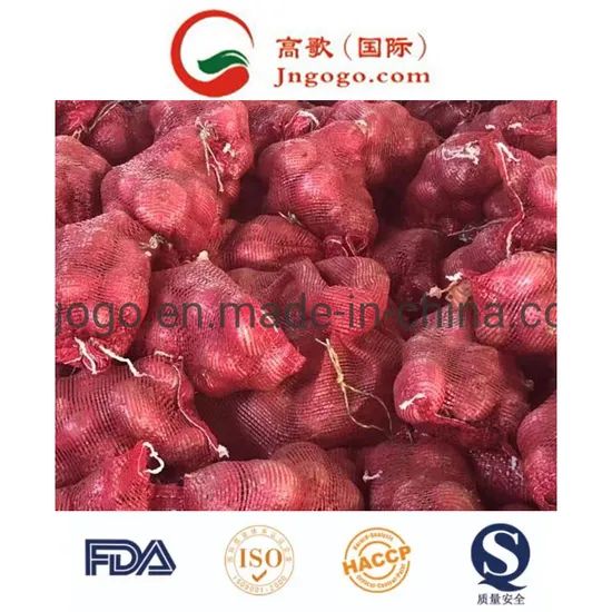 New Crop Export Good Quality Chinese Red Onion Color Red Shape Oval Type Whole Trademark GOGO Size 3.0cm and up HS Code - Image 6