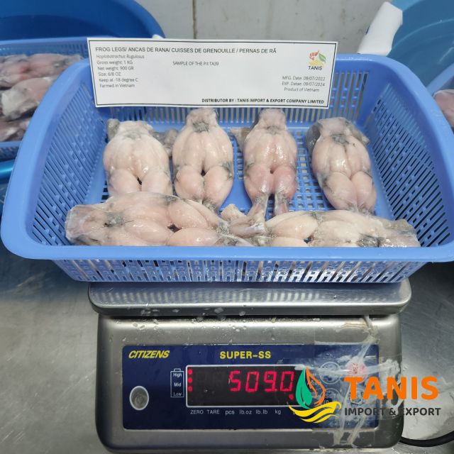 Frozen High Quality IQF Freeze Bull Frog Legs For Sale from Vietnam bulk packing / vacuum bag - Image 4