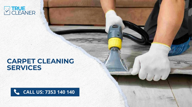 PROFESSIONAL CLEANING SERVICES - TRUE CLEANERS Cleaning Type Carpet Cleaning Kitchen cleaning services 1499 Location/City Served - Image 1