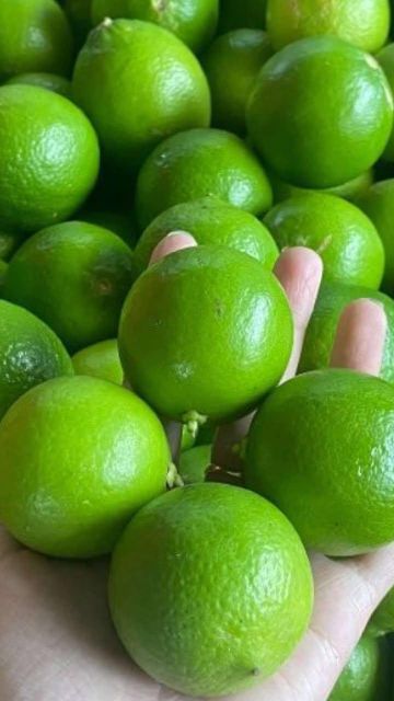 Premium Fresh Seedless Lime from South Africa Organic Yes Origin South Africa Texture Fresh And Firm Color Vibrant Green Skin - Image 4