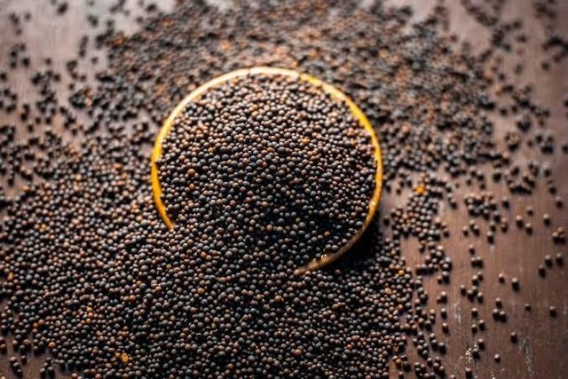 Top Quality Mustard Seeds for sale - Image 1