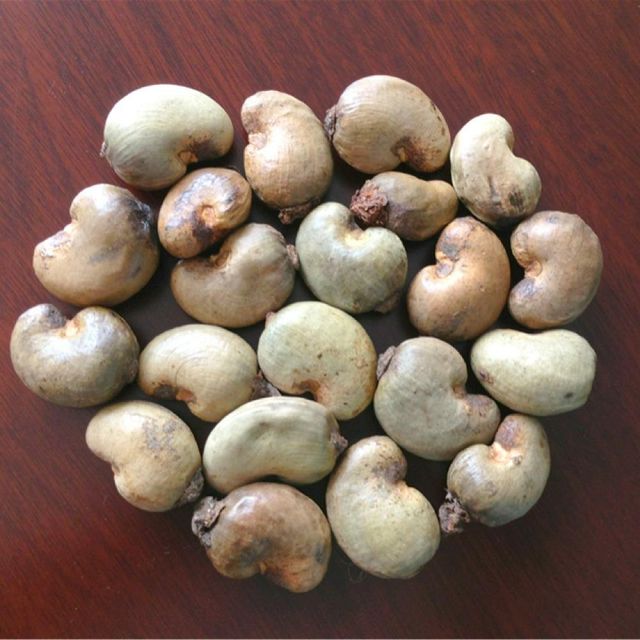 Efficient cashew nuts kernel bulk order natural whole cashews fast delivery - Image 3