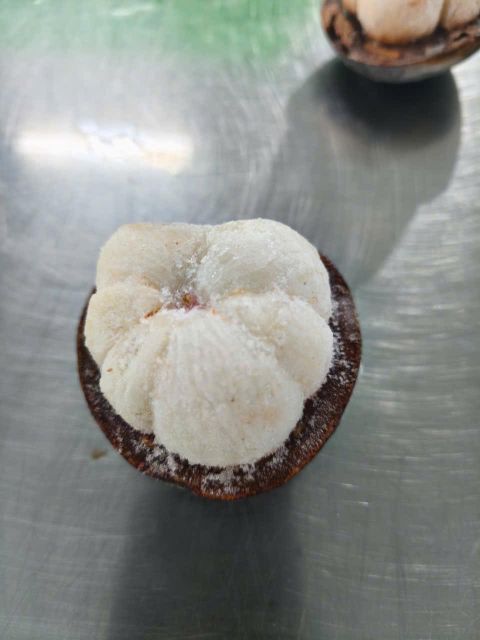Frozen manosteen Texture Soft Quality Good one Place of Origin Vietnam Flavor Natural Sweetness Storage Temperature -18C, -18c - Image 4