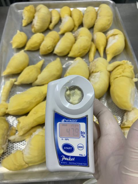 High Quality Fresh Durian, Fresh Cut Durian, in box. Monthong durian. OEM all in one Service. Ready to Sell, Ready to Eat. - Image 4