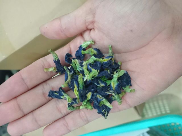 Herbal Tea Color Blue Application Herbal Tea And Natural - Image 4