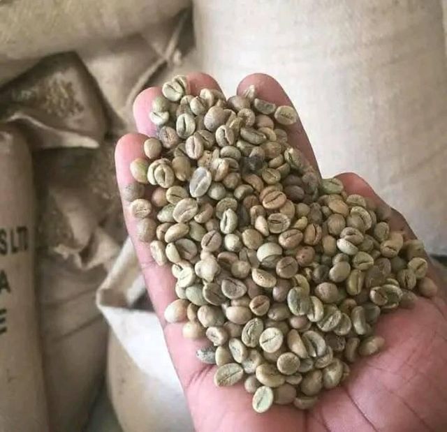 Organic Arabic Coffee – 100% Natural, Premium Quality, Freshly Roasted Beans | Rich Aroma & Flavor - Image 4