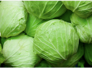 Premium Origin Cabbage Fresh Cabbage Fresh Organic Red Cabbages Fresh Organic Green Cabbage wholesale. Very cheap and bulk sales - Image 2