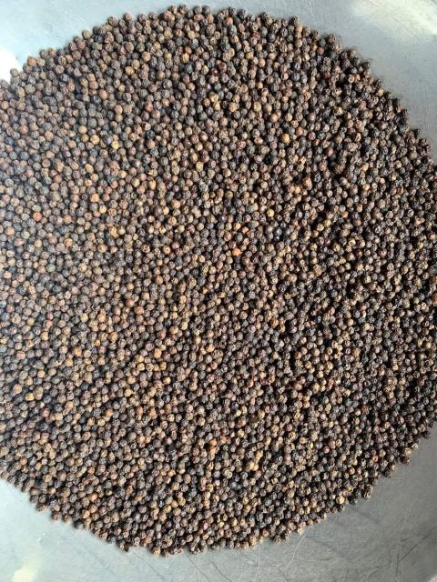 Black Pepper - Image 3