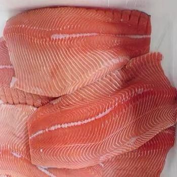 Frozen Salmon Fish - Image 1