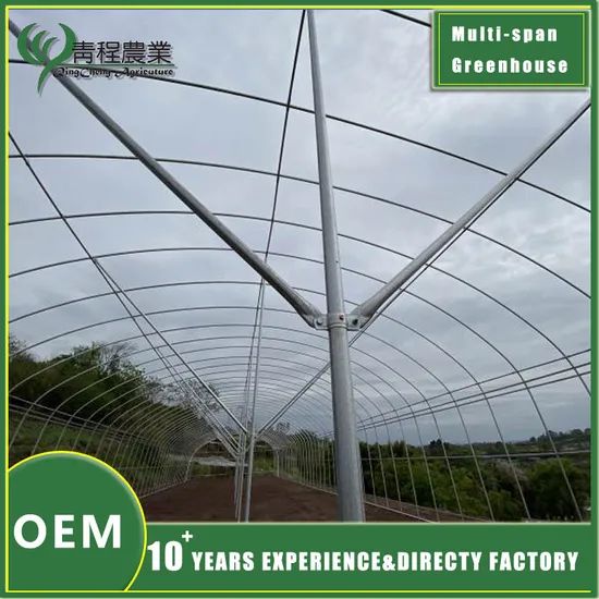 Premium Galvanized Steel Rectangular Profiles for Greenhouse Structures - Image 4