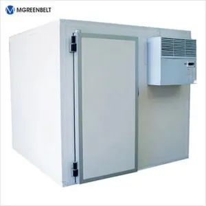 Refrigeration Equipment Walk in Freezer with Compressor Unit - Image 4