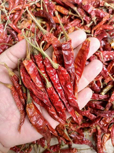 Premium Dried Red Chili Peppers – Export Grade Whole Dried Chili for Wholesale Supply - Image 3