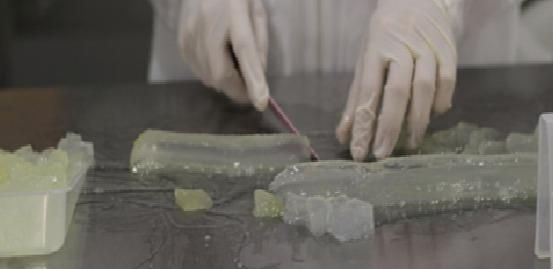 Organic aloe vera pulp - Image 5