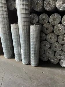 Galvanized Welded Wire Mesh - Image 3