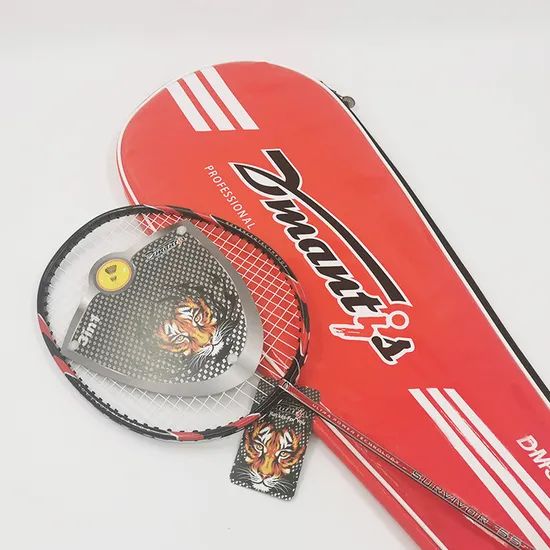 Badminton Rackets with Pair of Two Rackets Dmantis DMS55 Set - Image 1