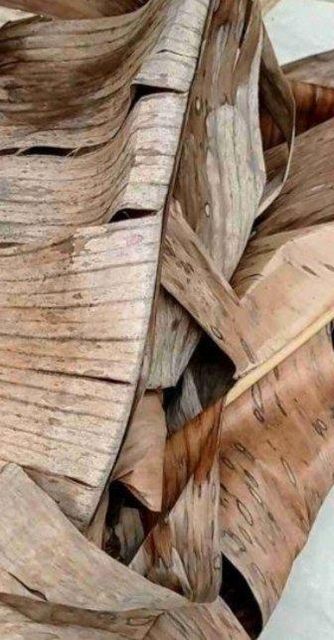 Dried banana leaves Features Organic Packaging Natural Produk Origin Asia, Indonesia, Other Product Type Vegetarian & Vegan Products - Image 2
