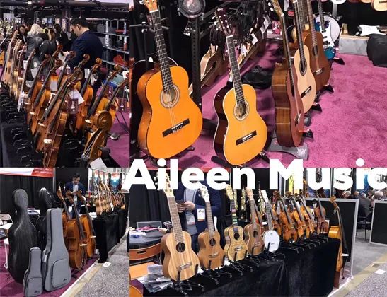 Musical Instrument Bag for Cello (BGC014) - Image 4