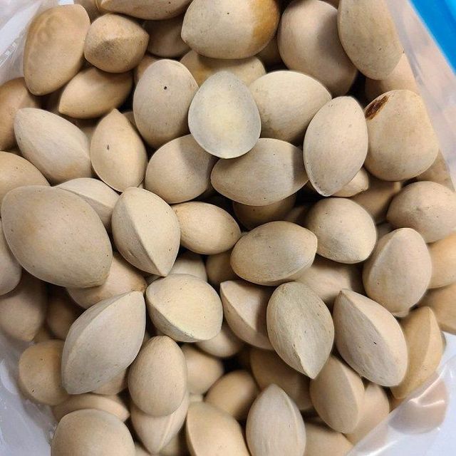 Good Quality Bulk Organic Dried Ginkgo Nuts 100% Pure Premium Quality Ginkgo Nuts - Image 2