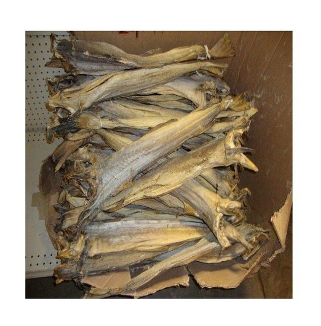 High Quality dry fish cheap price stock dried fish Form Other Organic Yes Origin Worldwide Delivery Form Other - Image 2