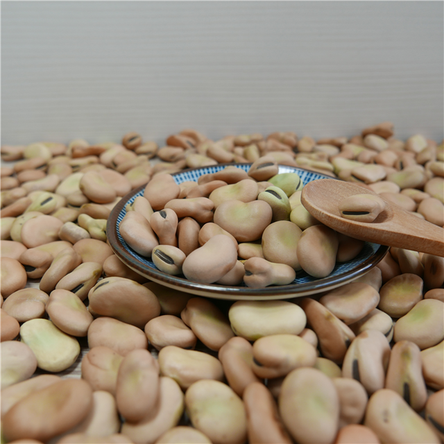 Dried Broad Beans Bulk Dry Fava Beans price Style Dried Weight (kg) 25 Model Number 019 Drying Process AD Specification - Image 5