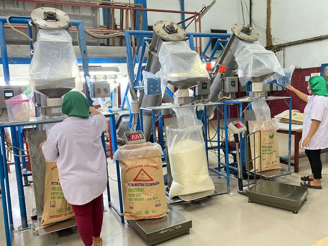 Desiccated Coconut High Fat Fine /Medium Grade Shelf Life 12 Months Fat Content Min. 65%% Origin Asia, Indonesia Moisture Content Max. 3%% - Image 2