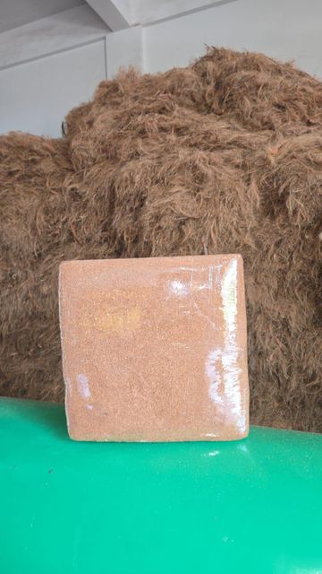 Coco Peat High EC & Low EC - Image 1